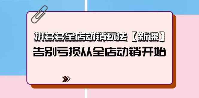 （9974期）拼多多全店动销玩法【新课】别再亏钱了，从全店动销开始翻身（4节视频课）-安索博客网