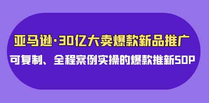 亚马逊30亿大卖亲授：爆款新品推广，照着做就行，全真实案例实操-安索博客网