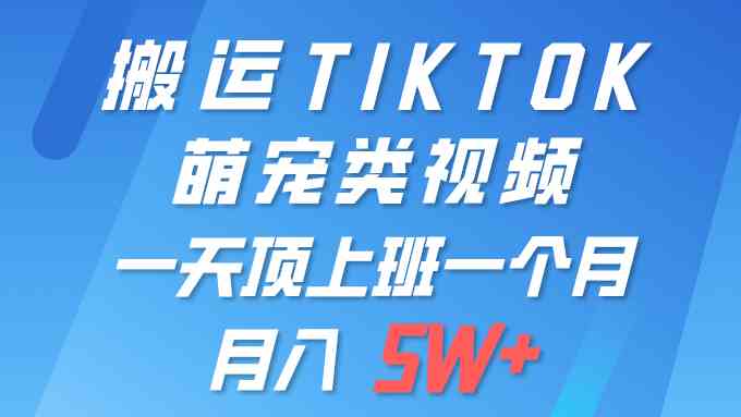 轻松搞定TIKTOK萌宠视频搬运，一部手机就能月入5W+-安索博客网