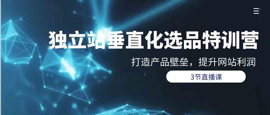 （9925期）独立站-垂直化选品训练营，打造产品壁垒，提升网站利润（3节直播课）-安索博客网
