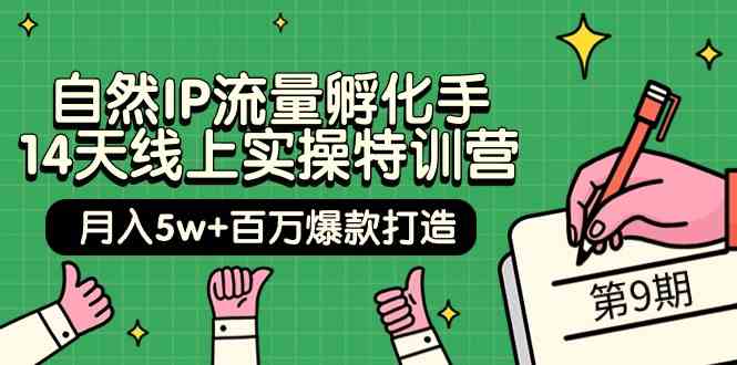 （9881期）自然IP流量孵化手 14天线上实操特训营【第9期】月入5w+百万爆款打造 (74节)-安索博客网