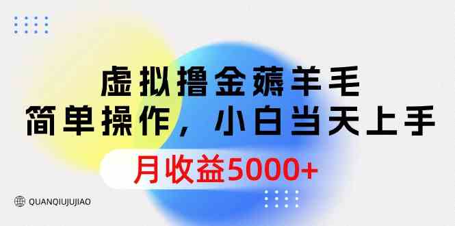 （9864期）虚拟撸金薅羊毛，操作超简单，新手当天就能上手，月入5000+-安索博客网