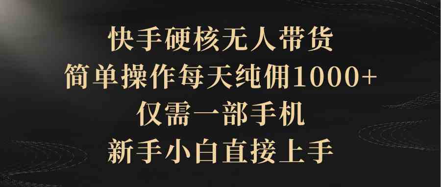 快手硬核无人带货，每天纯佣1000+，一部手机就能搞定，小白也能直接上手-安索博客网
