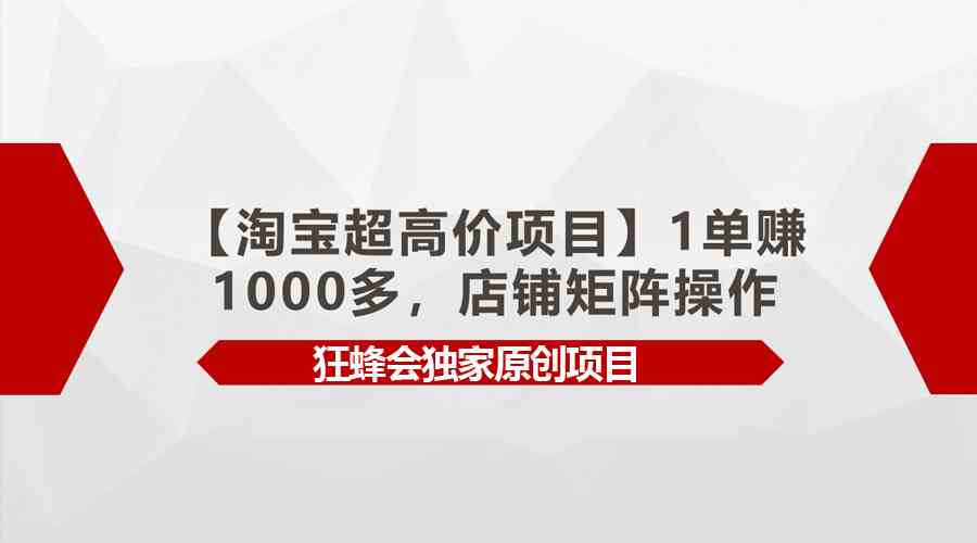 【淘宝超高价项目】一单赚1000+，多店矩阵玩法-安索博客网