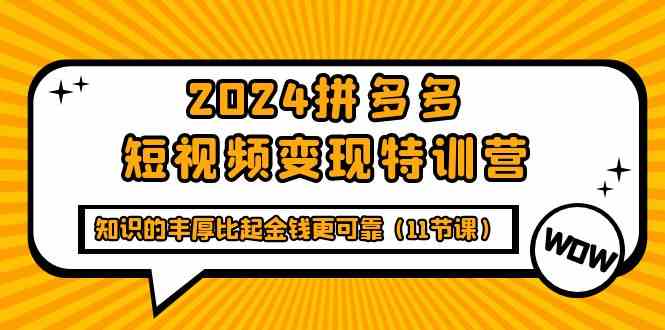 2024拼多多短视频带货赚钱课，学知识比拿钱更靠谱（11节课）-安索博客网