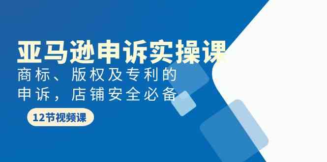 亚马逊申诉实战课，商标、版权、专利这些坑，店铺安全得靠它！-安索博客网